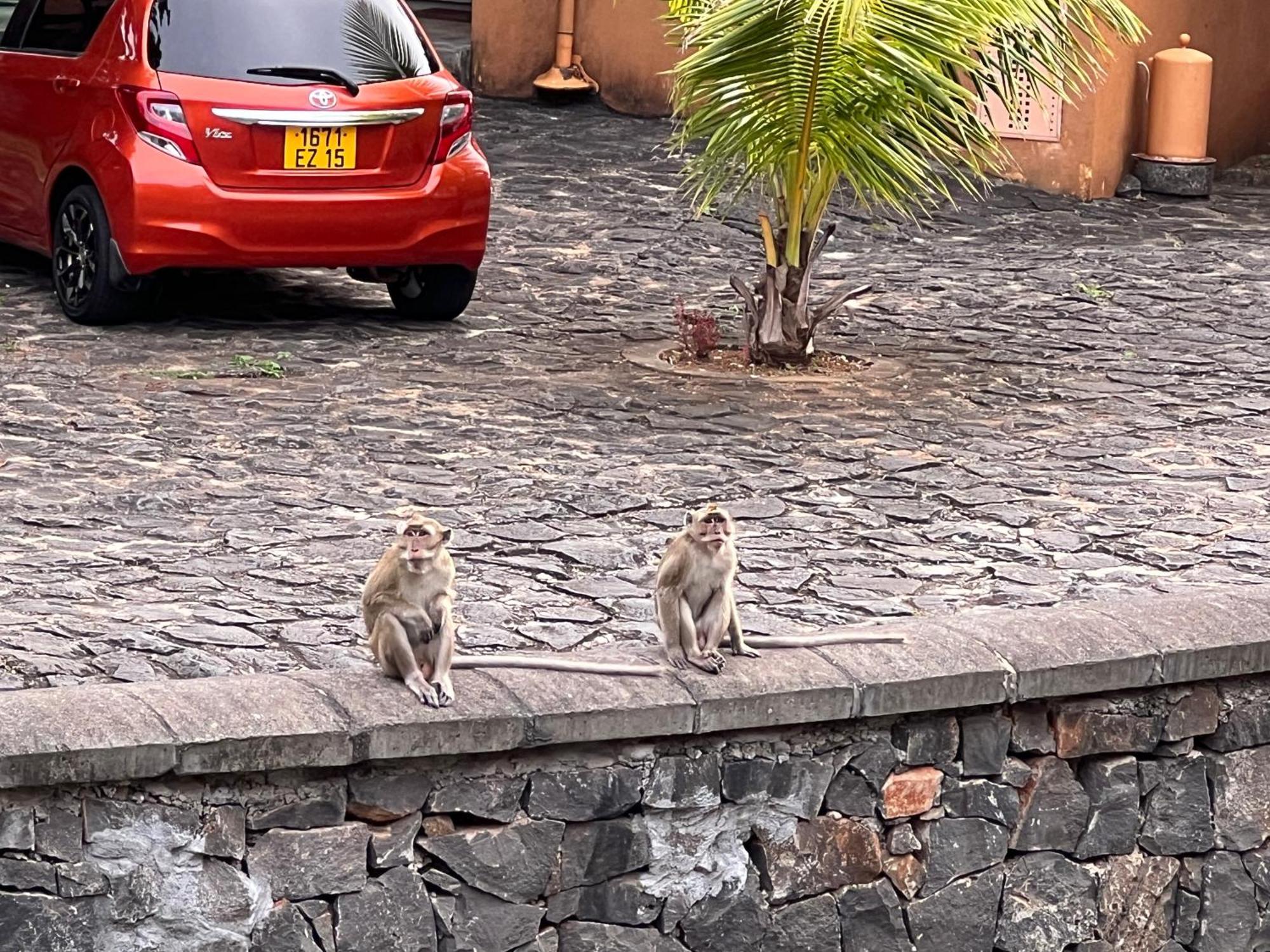Villa In Port Chambly ,Mauritius Terre Rouge  Eksteriør billede
